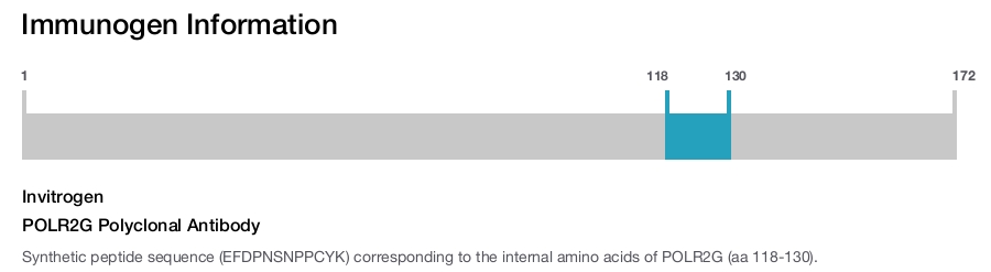 POLR2G Polyclonal Antibody