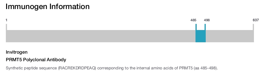 PRMT5 Polyclonal Antibody