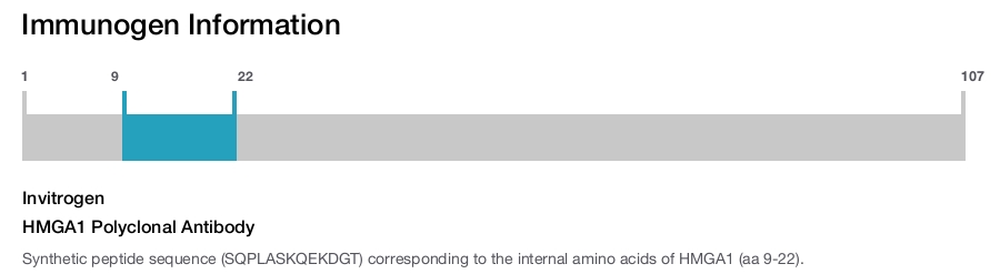 HMGA1 Polyclonal Antibody