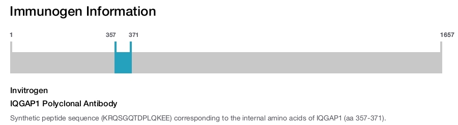IQGAP1 Polyclonal Antibody