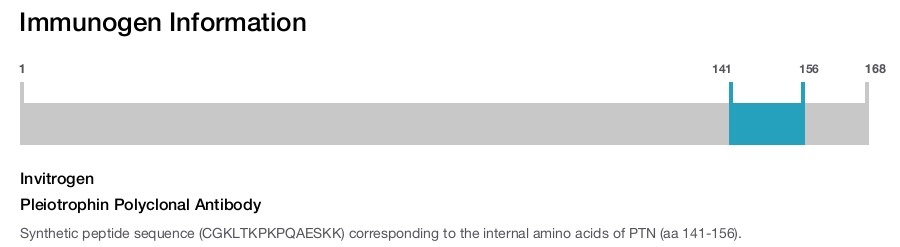 Pleiotrophin Polyclonal Antibody