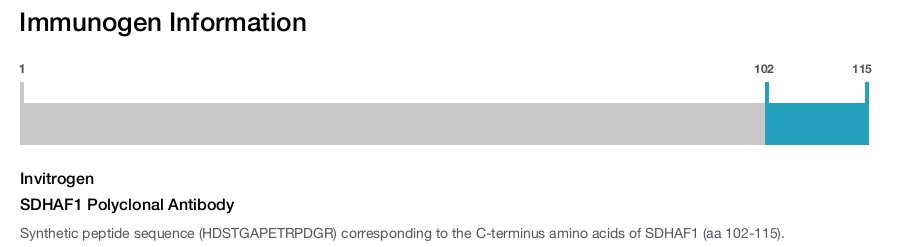SDHAF1 Polyclonal Antibody