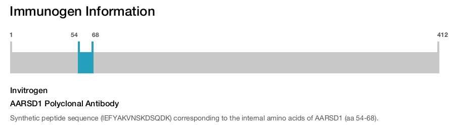 AARSD1 Polyclonal Antibody