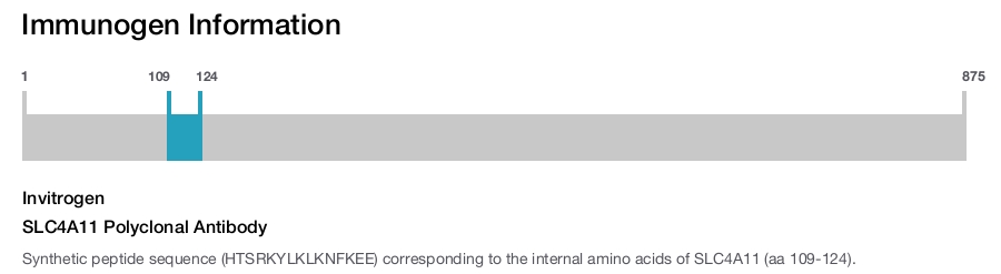 SLC4A11 Polyclonal Antibody