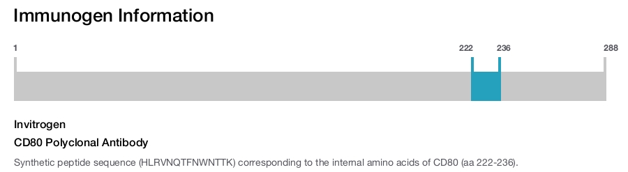 CD80 Polyclonal Antibody