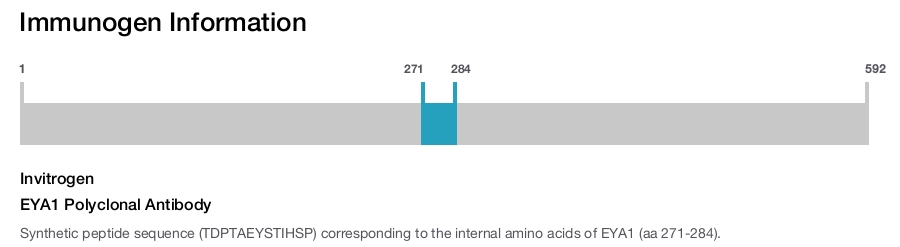 EYA1 Polyclonal Antibody