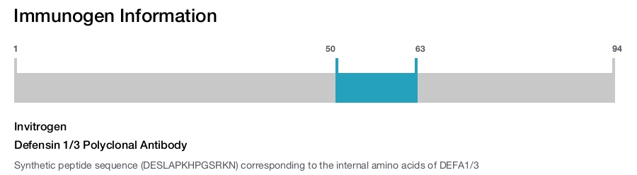 Defensin 1/3 Polyclonal Antibody