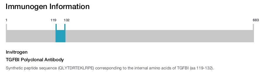 TGFBI Polyclonal Antibody