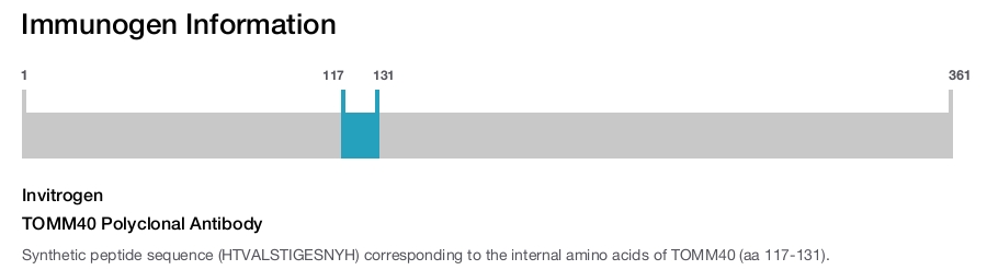 TOMM40 Polyclonal Antibody
