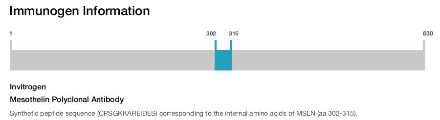 Mesothelin Polyclonal Antibody