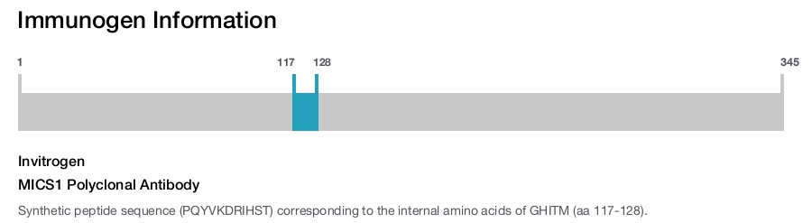 MICS1 Polyclonal Antibody