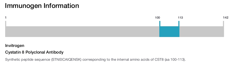 Cystatin 8 Polyclonal Antibody