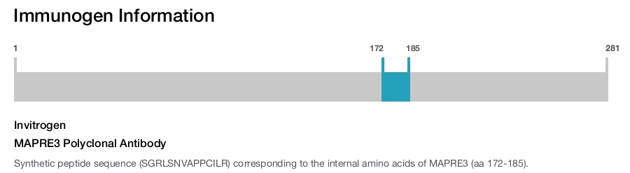 MAPRE3 Polyclonal Antibody