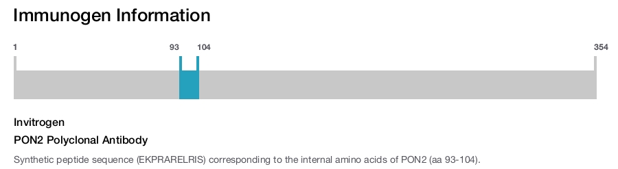 PON2 Polyclonal Antibody