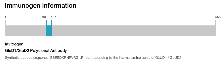 GluD1/GluD2 Polyclonal Antibody