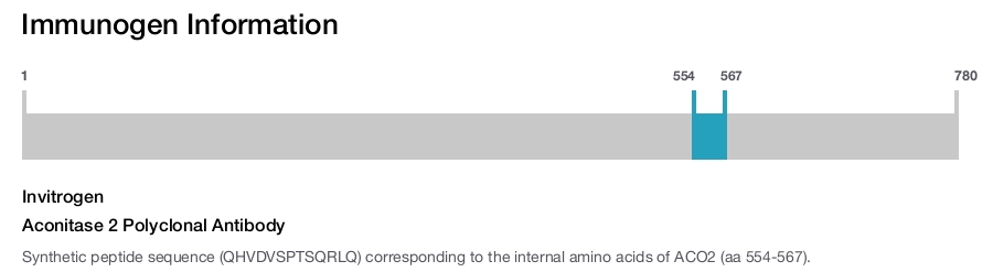 Aconitase 2 Polyclonal Antibody