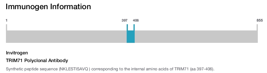TRIM71 Polyclonal Antibody