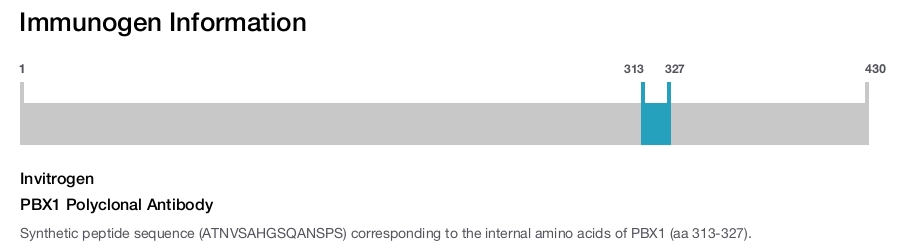 PBX1 Polyclonal Antibody