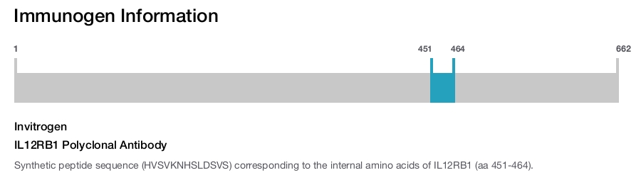 IL12RB1 Polyclonal Antibody