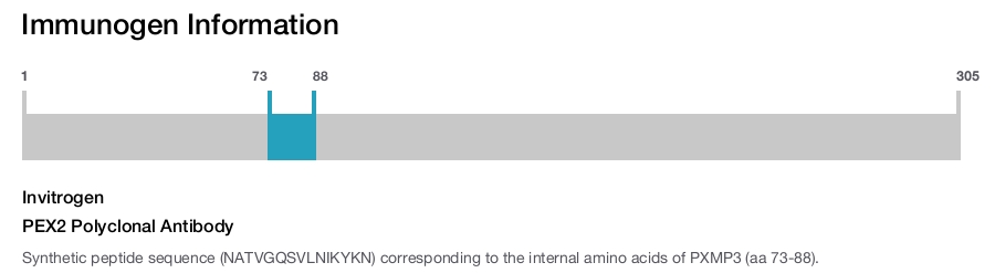 PEX2 Polyclonal Antibody
