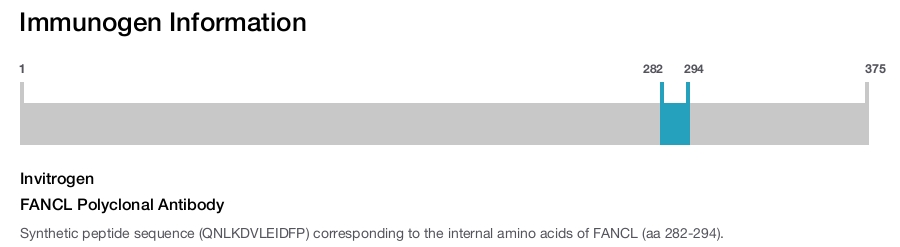 FANCL Polyclonal Antibody