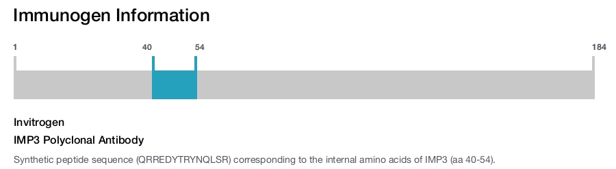 IMP3 Polyclonal Antibody