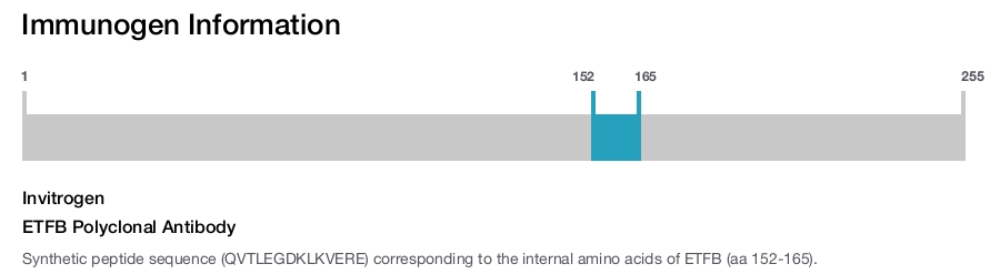 ETFB Polyclonal Antibody