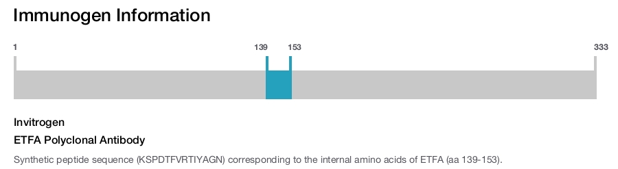 ETFA Polyclonal Antibody