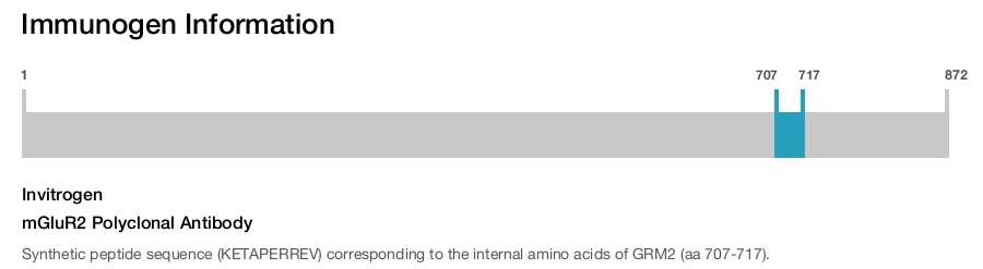 mGluR2 Polyclonal Antibody