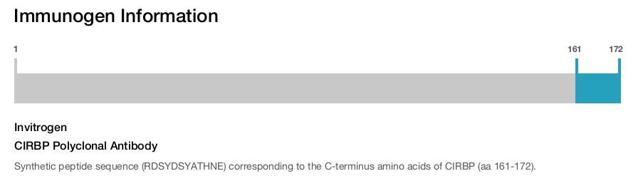 CIRBP Polyclonal Antibody