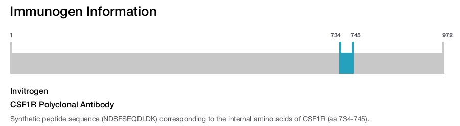 CSF1R Polyclonal Antibody