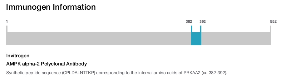 AMPK alpha-2 Polyclonal Antibody