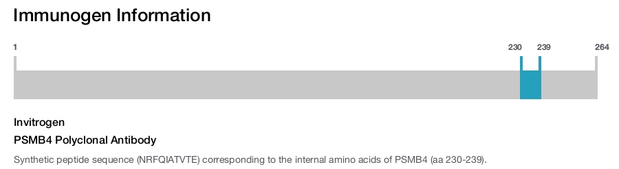 PSMB4 Polyclonal Antibody