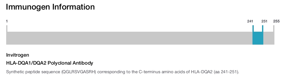 HLA-DQA1/DQA2 Polyclonal Antibody