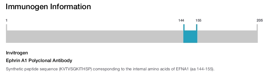 Ephrin A1 Polyclonal Antibody