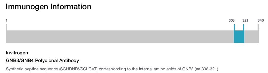 GNB3/GNB4 Polyclonal Antibody