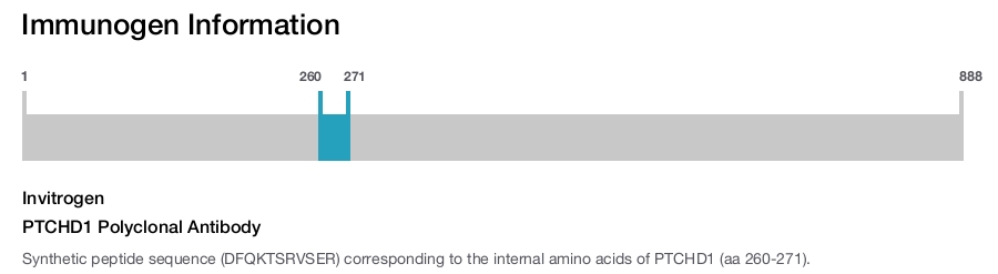 PTCHD1 Polyclonal Antibody