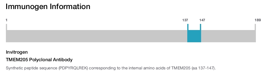 TMEM205 Polyclonal Antibody