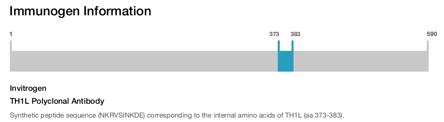 TH1L Polyclonal Antibody