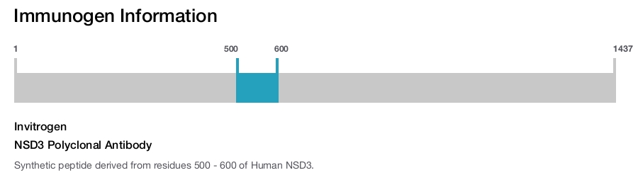 NSD3 Polyclonal Antibody