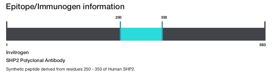 SHP2 Polyclonal Antibody