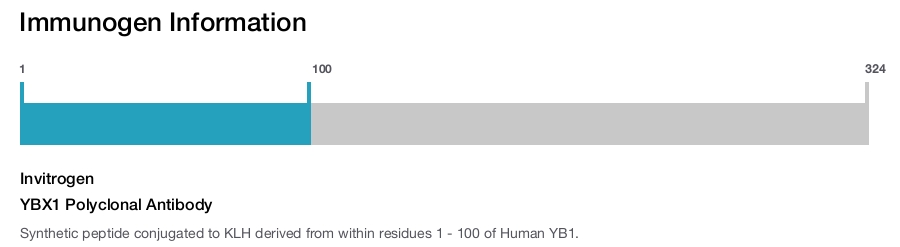 YBX1 Polyclonal Antibody