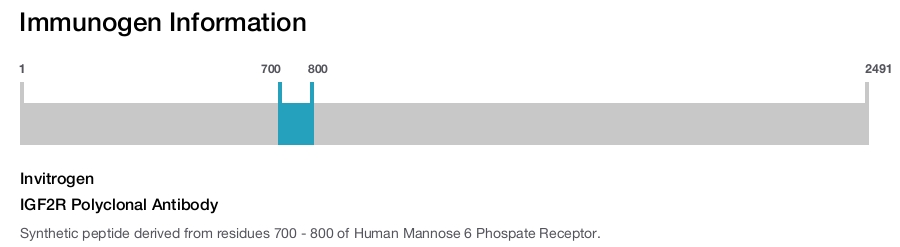 IGF2R Polyclonal Antibody