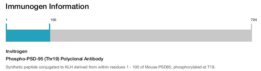 Phospho-PSD-95 (Thr19) Polyclonal Antibody