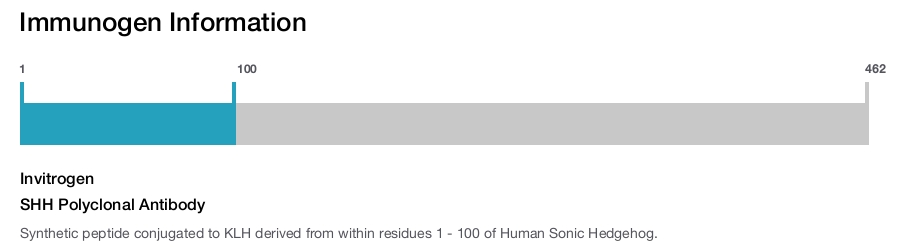 SHH Polyclonal Antibody