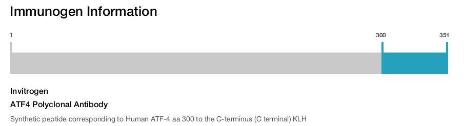 ATF4 Polyclonal Antibody