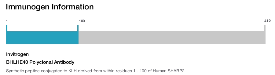 BHLHE40 Polyclonal Antibody