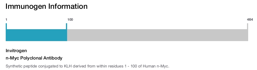 n-Myc Polyclonal Antibody