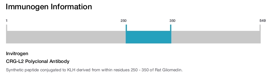 CRG-L2 Polyclonal Antibody