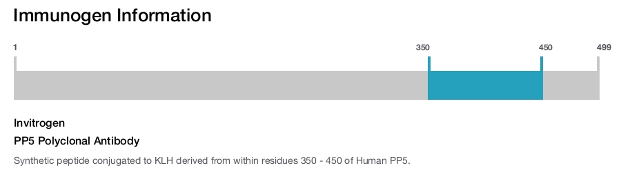 PP5 Polyclonal Antibody
